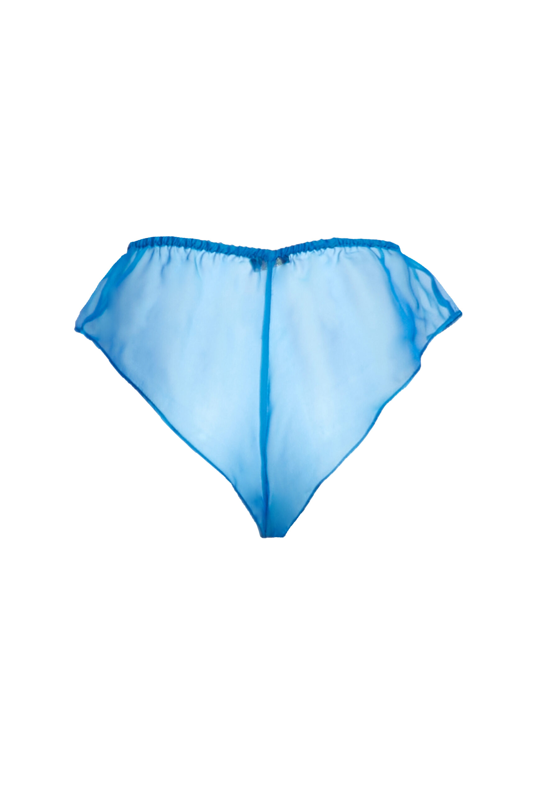 ROSAMOSARIO blue panties back copia