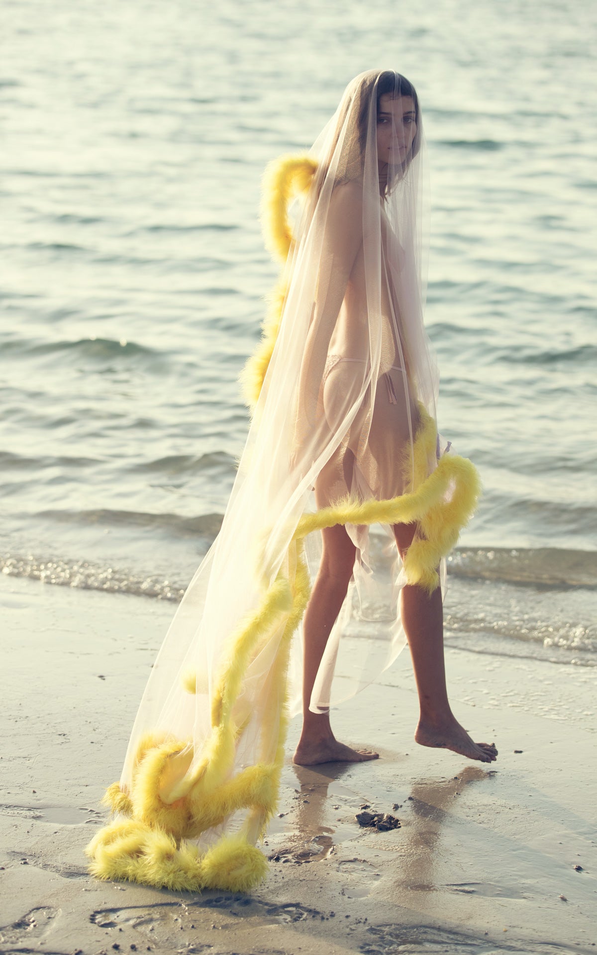 yellow